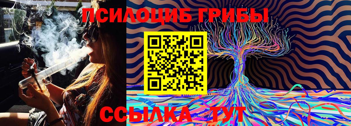 Псилоцибиновые грибы Magic Shrooms Кандалакша