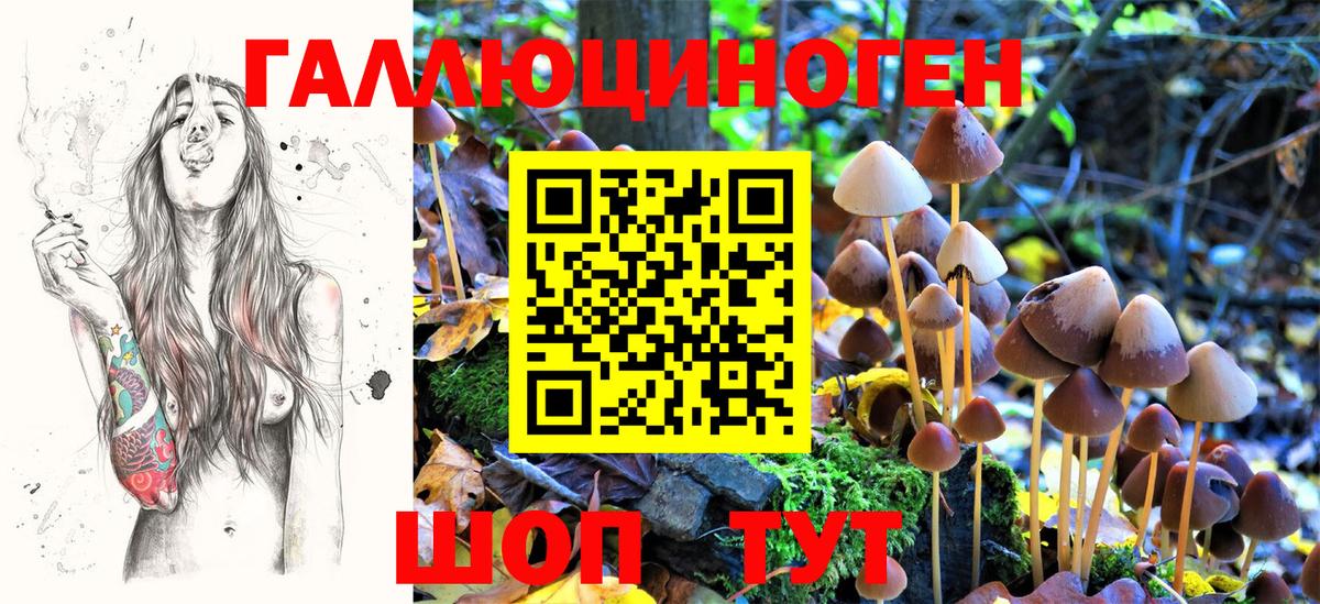 Кандалакша  Псилоцибиновые грибы мухоморы  Вход с VPN 
